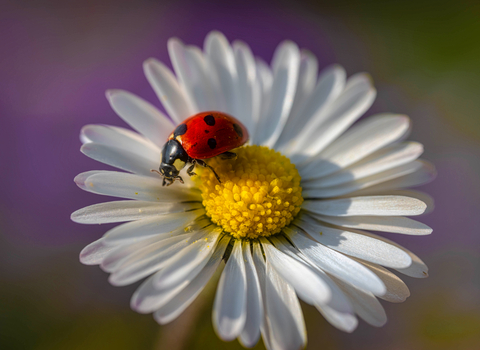 Annual photography competition Gloucestershire Wildlife Trust